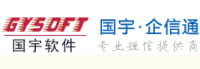 国宇软件
