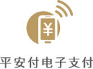 平安付电子支付有限公司