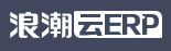 浪潮云ERP