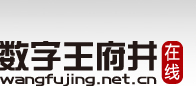 北京数字王府井科技有限公司