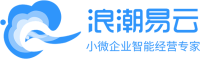 浪潮云会计